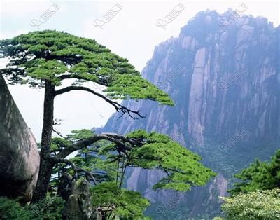 如何选择出行吉日？最实用择日指南