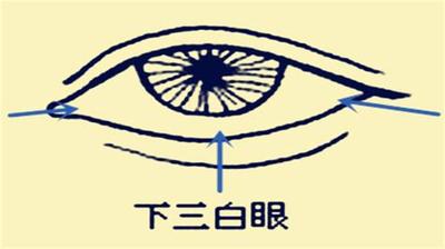 佛鸽谈面相之一