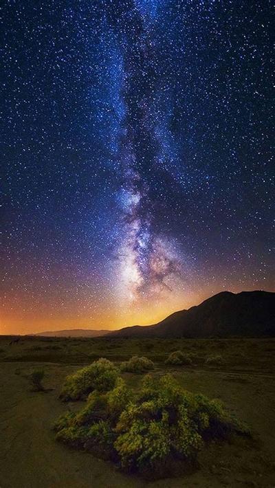 金牛座健康运势：2025年不可错过解读